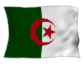 algeria_big_w